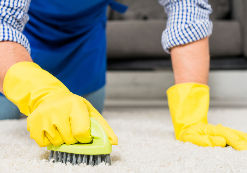 💡 Faire durer son tapis tufté : les secrets nettoyage